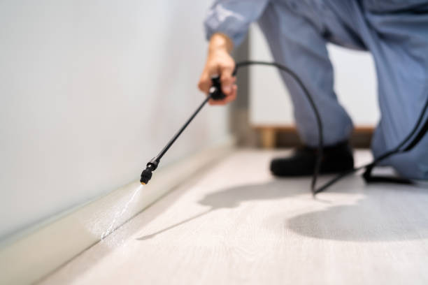 Licensed Pest Control service in Shandon, CA - Show Me Pest Control