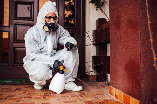 Attic and Crawl Space Rodent Treatment in Shandon