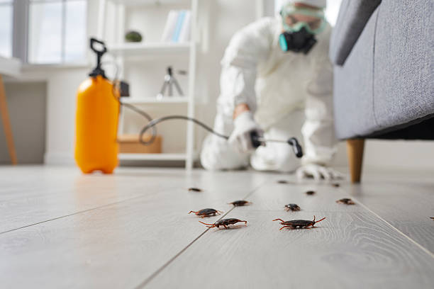 Commercial Rodent Management in Shandon